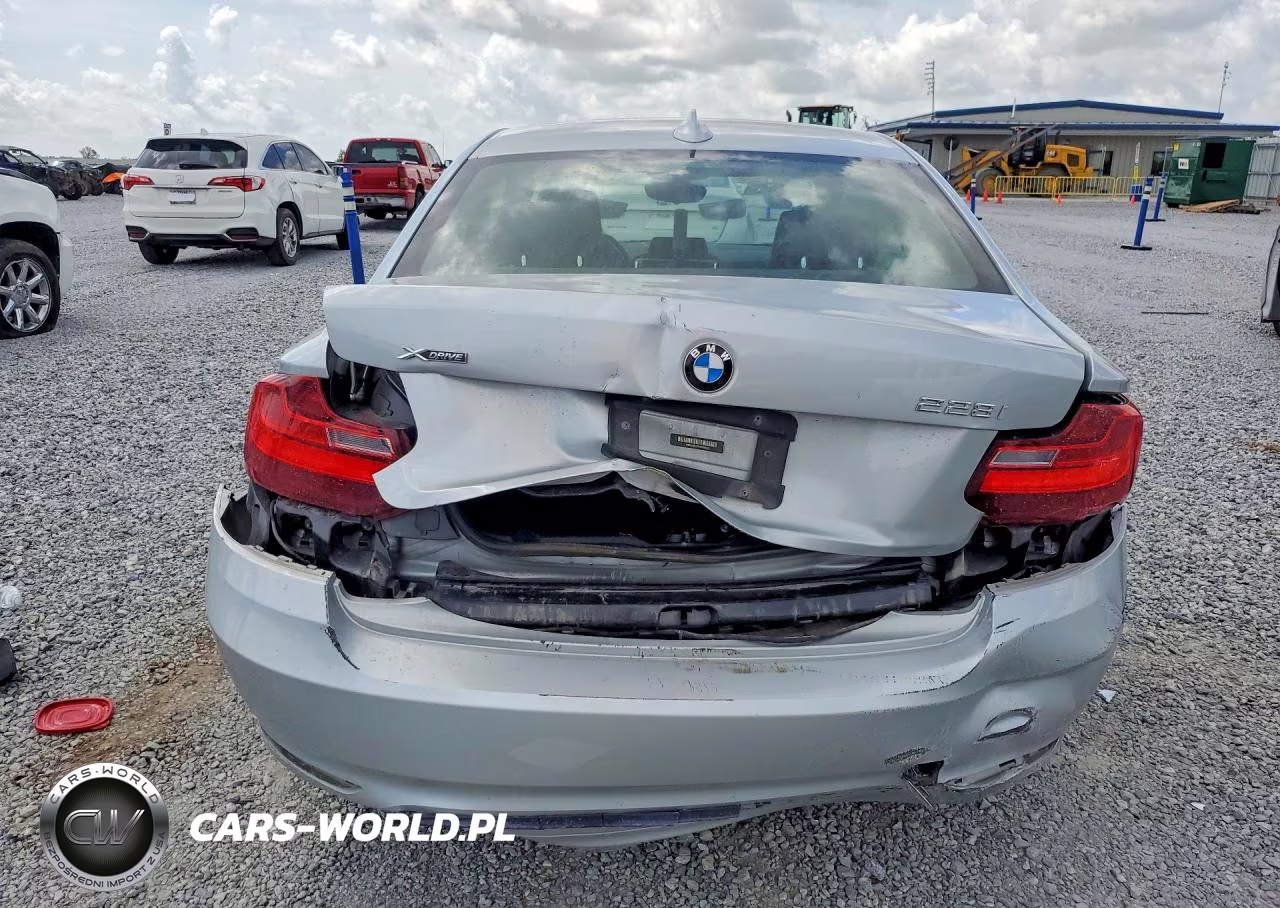 2016 BMW 228 Xi Sulev VIN:WBA1G9C5XGV598622 - 6