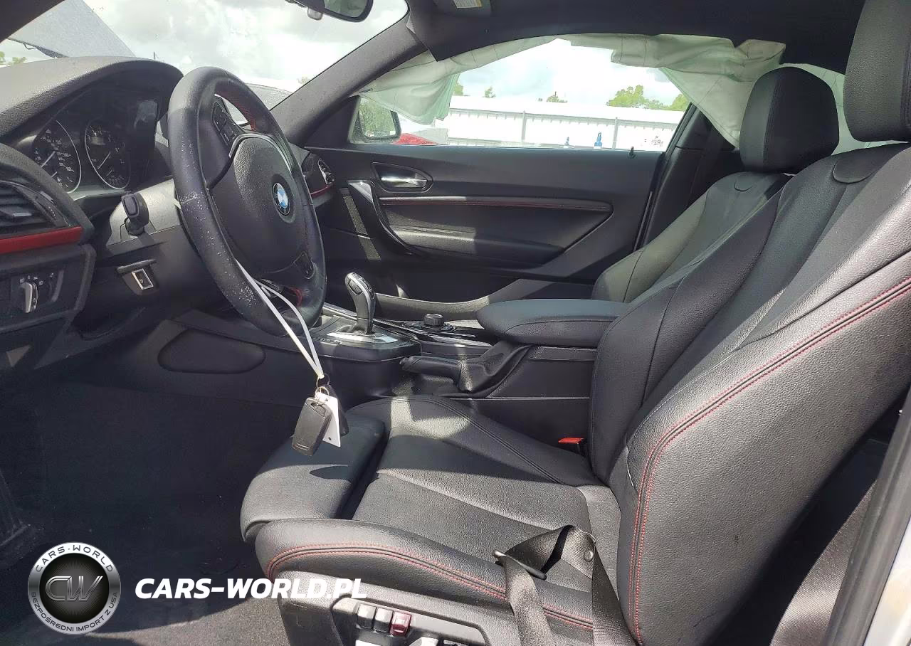 2016 BMW 228 Xi Sulev VIN:WBA1G9C5XGV598622 - 7