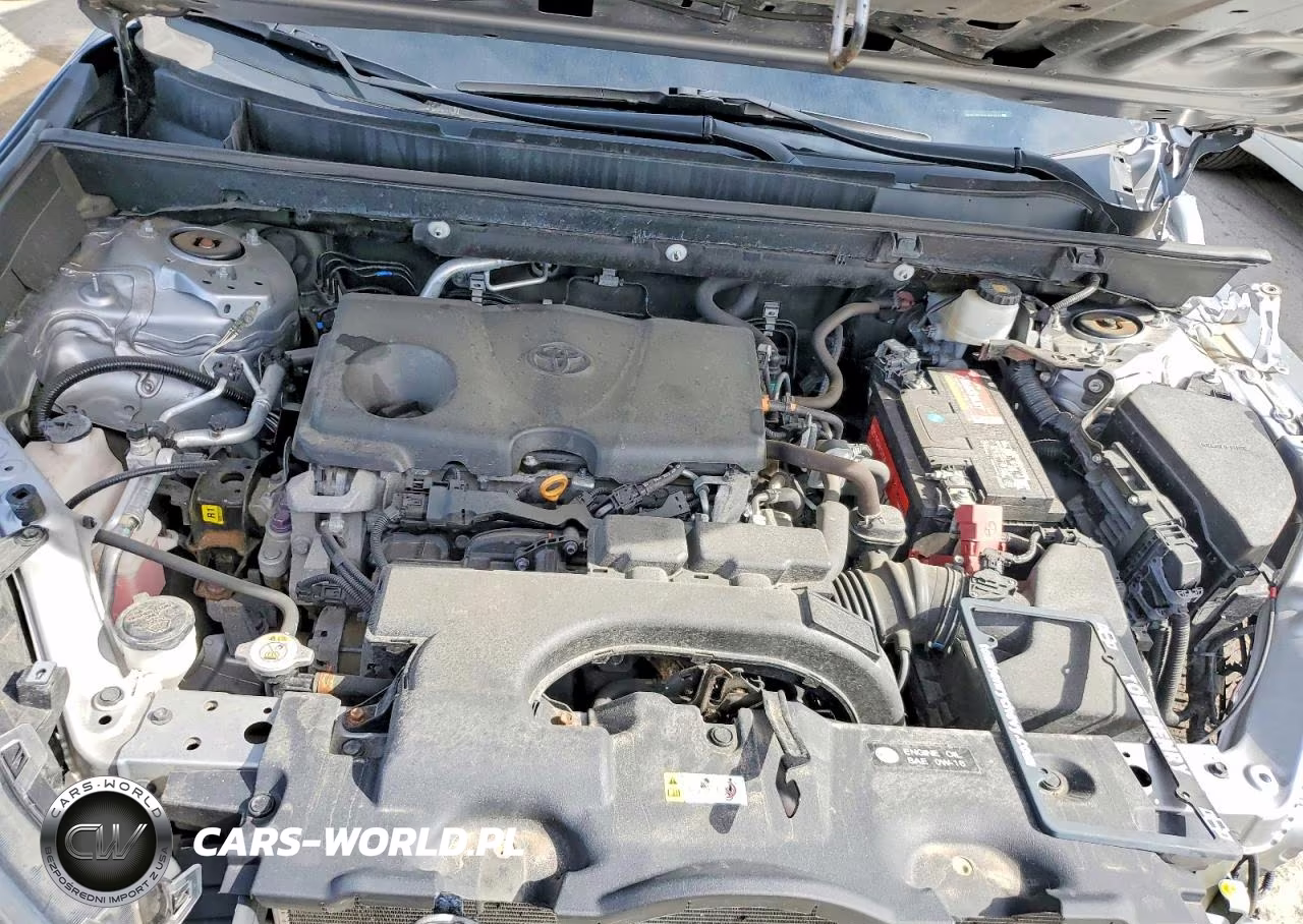 2019 Toyota Rav4 Le VIN:2T3F1RFV4KW081811 - 12