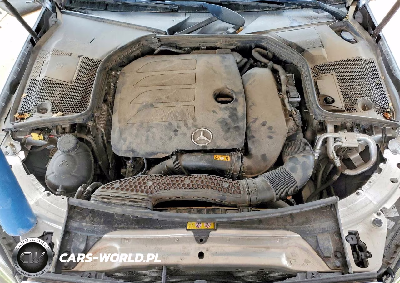 2020 Mercedes-Benz C 300 VIN:WDDWF8DB8LR528426 - 11