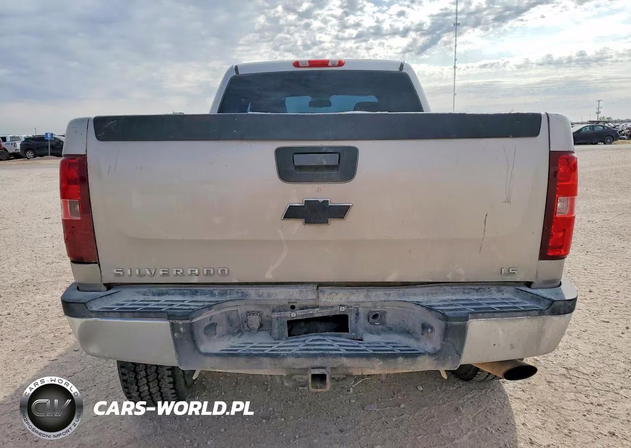 2009 Chevrolet Silverado C2500 Heavy Duty VIN:1GCHC43K09F163093 - 6