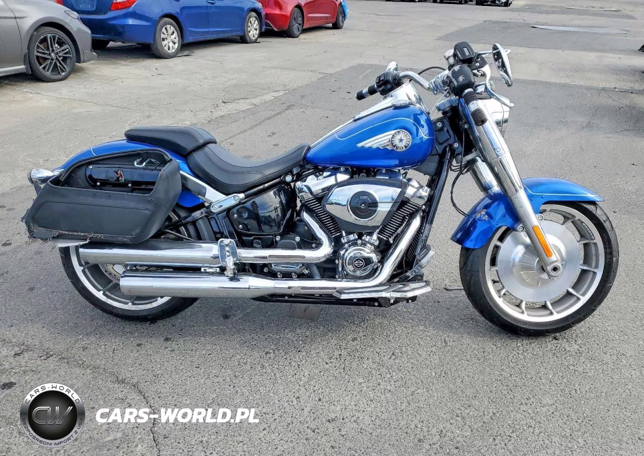 2025 Harley-Davidson Flfb