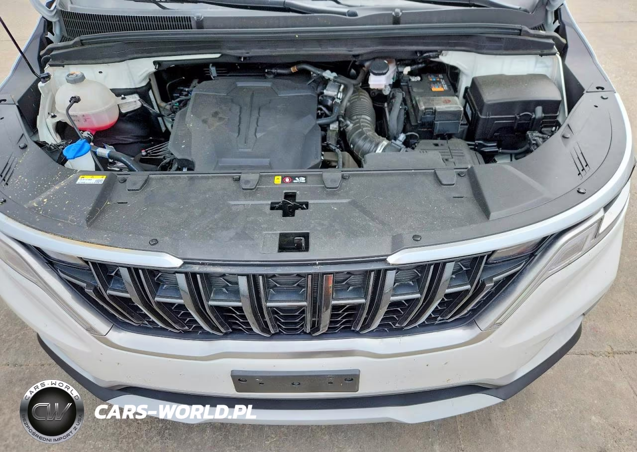 2024 Kia Carnival Lx VIN:KNDNB4H33R6380631 - 12