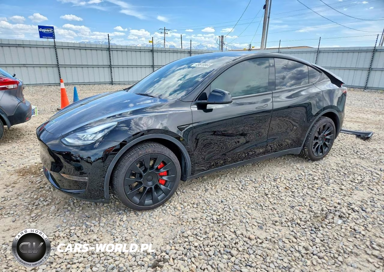 2021 Tesla Model Y