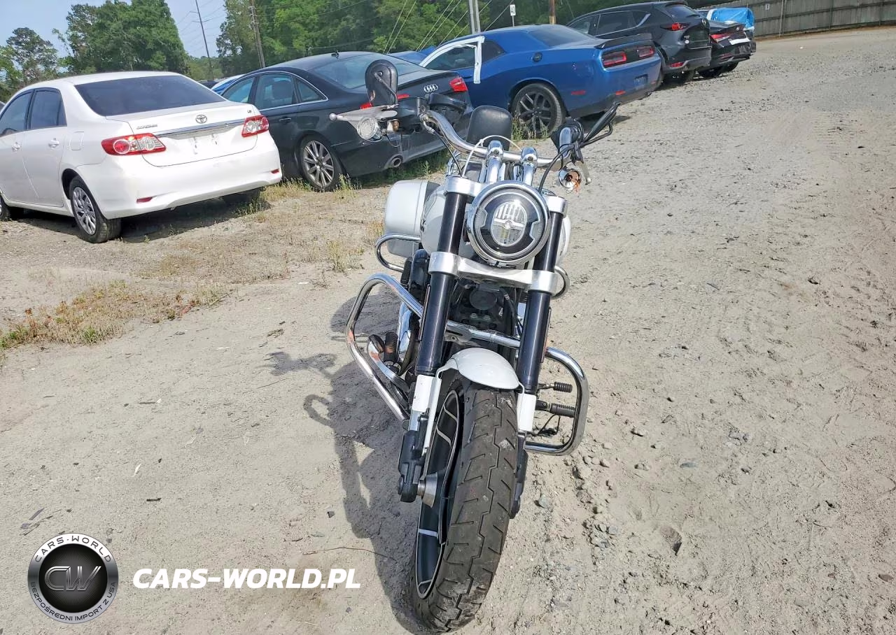 2021 Harley Davidson Flsb VIN:1HD1YMJ15MB068069 - 2