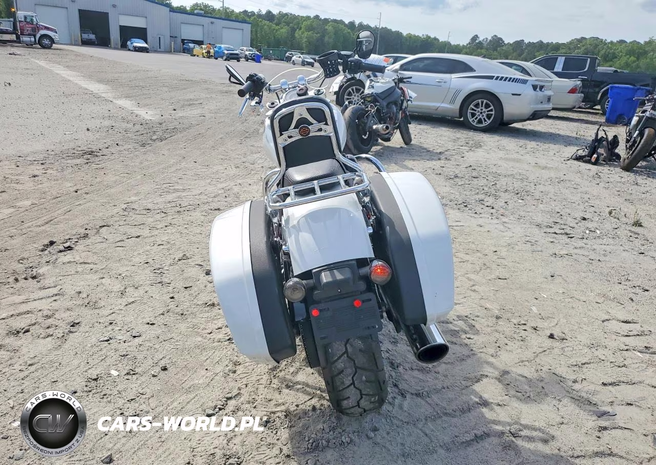 2021 Harley Davidson Flsb VIN:1HD1YMJ15MB068069 - 4