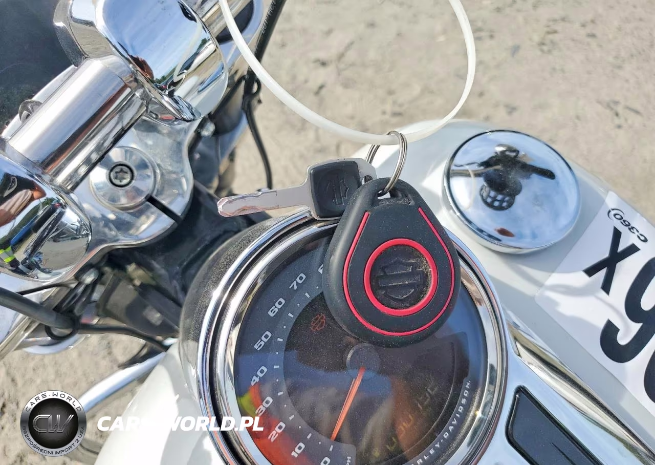 2021 Harley Davidson Flsb VIN:1HD1YMJ15MB068069 - 8