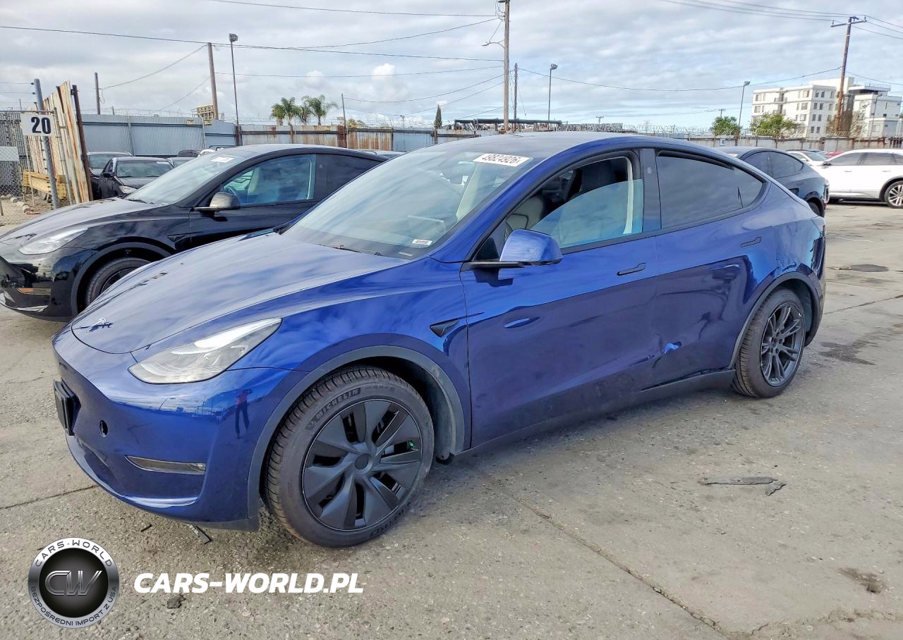 2025 Tesla Model Y