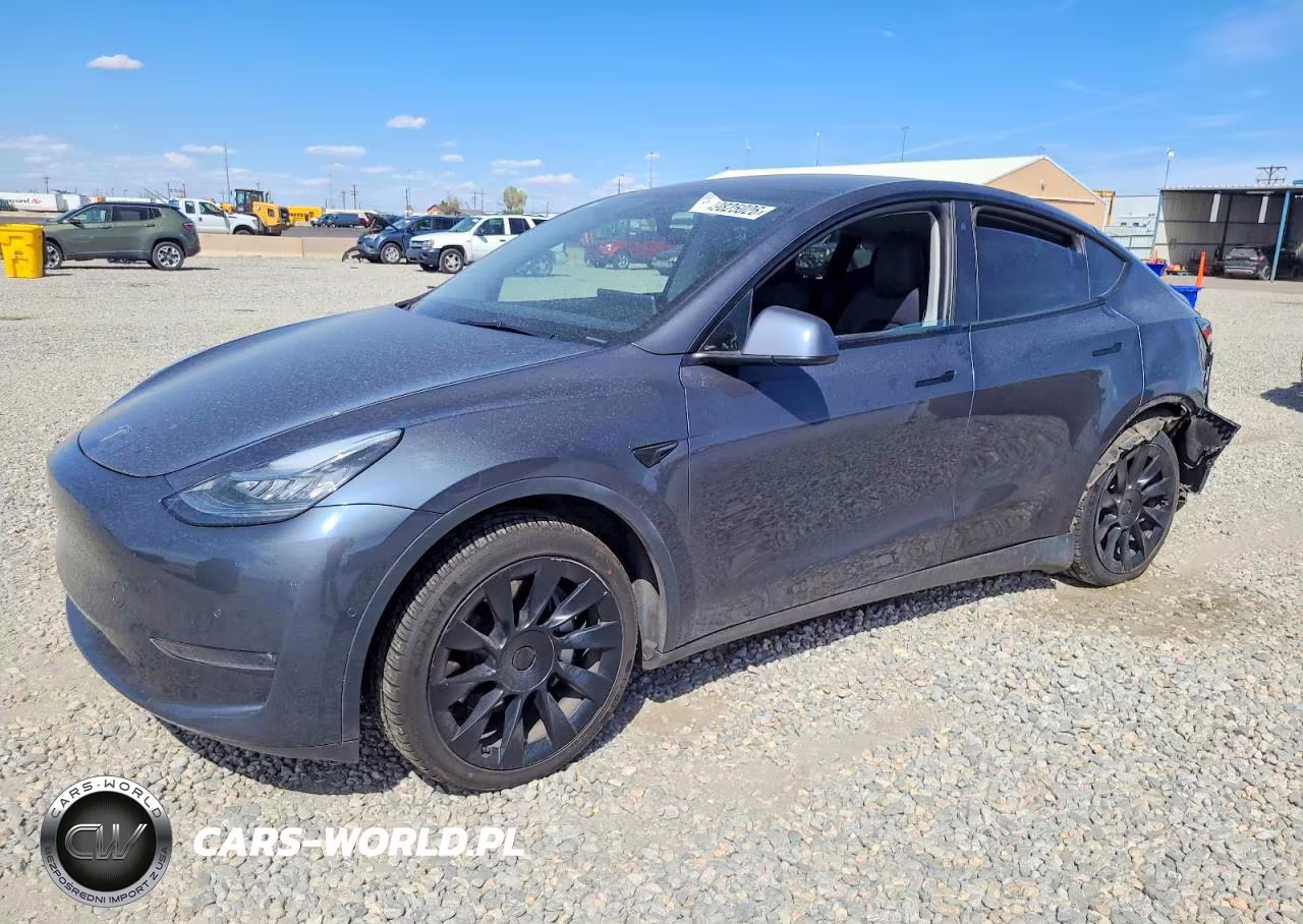 2020 Tesla Model Y