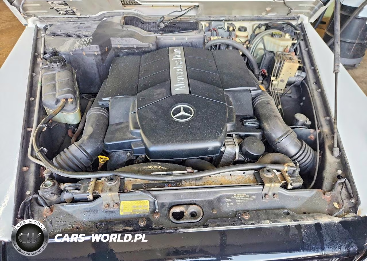 2003 Mercedes-Benz G 500 VIN:WDCYR49E03X138822 - 11