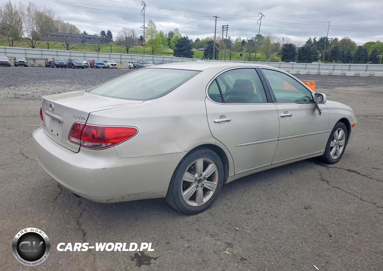 2006 Lexus Es 330 Base VIN:JTHBA30G565163306 - 3