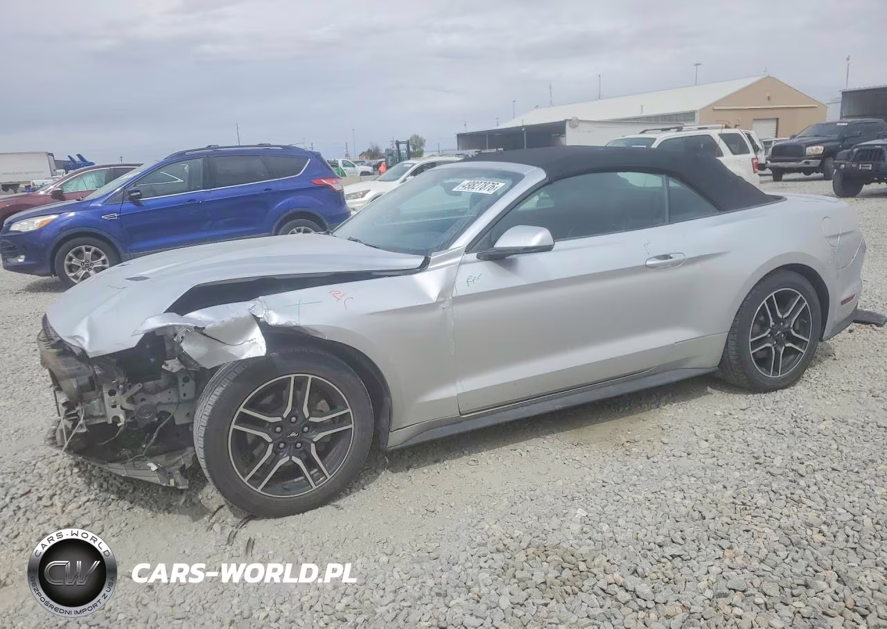 2019 Ford Mustang