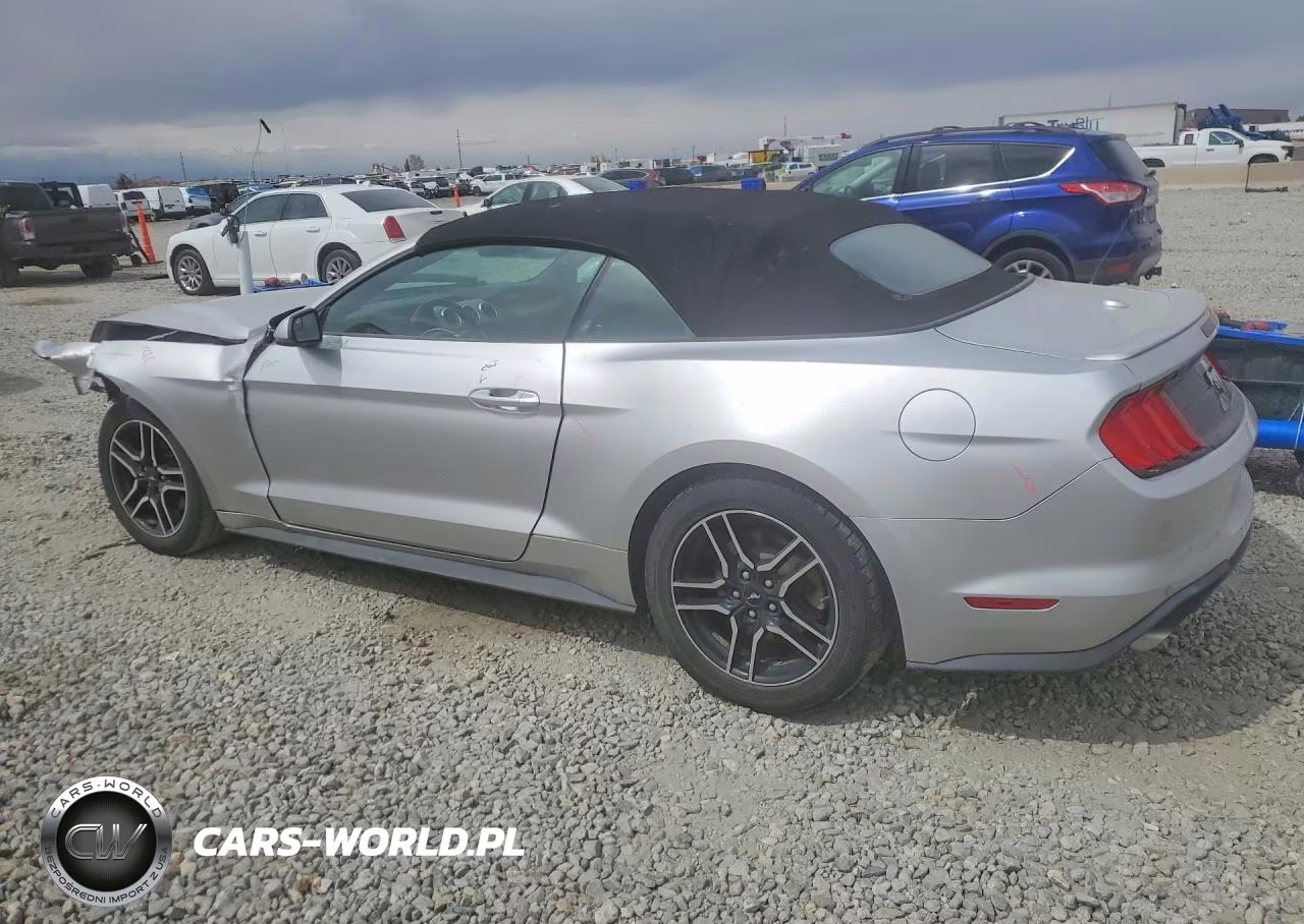 2019 Ford Mustang VIN:1FATP8UH1K5151433 - 2