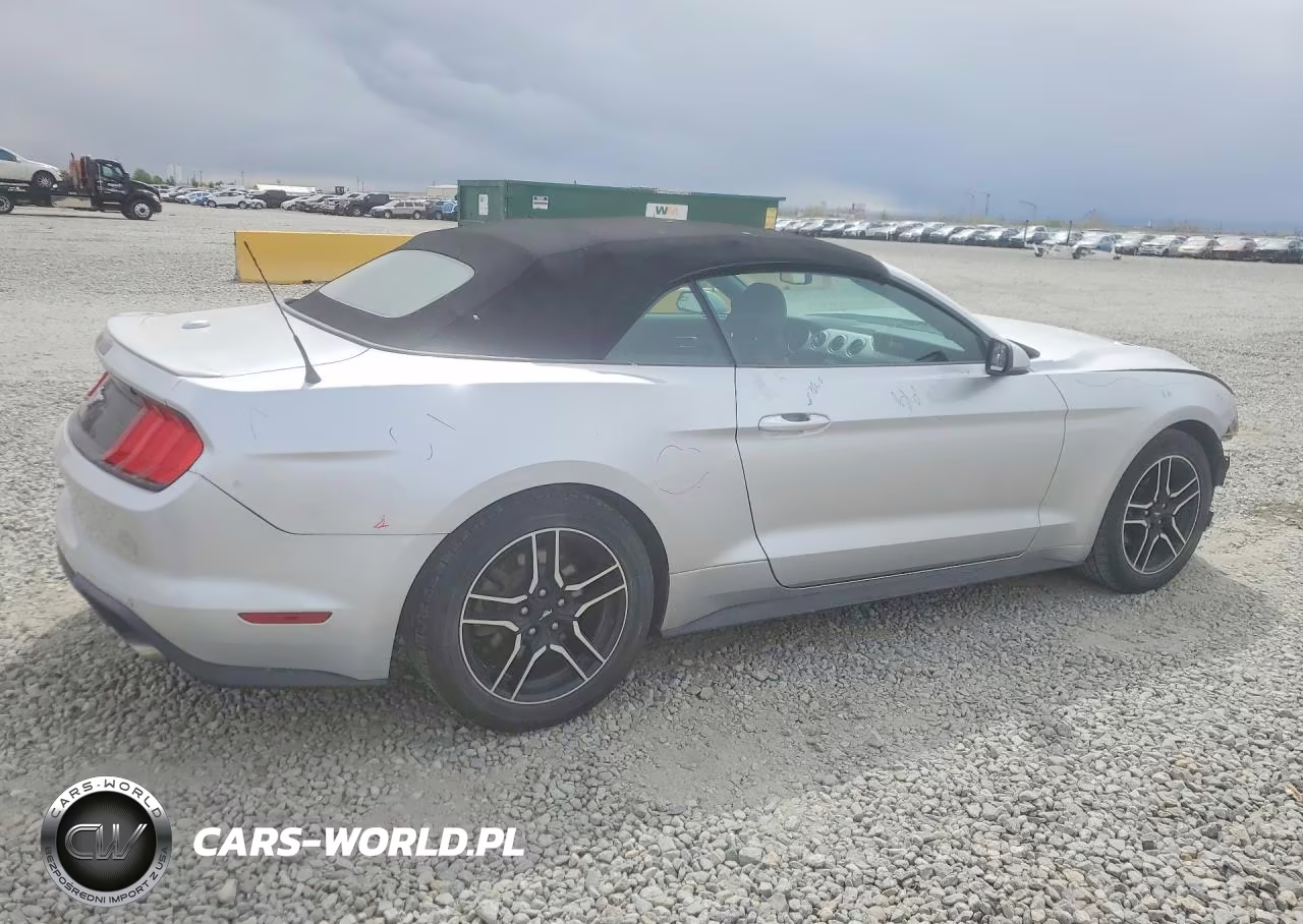2019 Ford Mustang VIN:1FATP8UH1K5151433 - 3