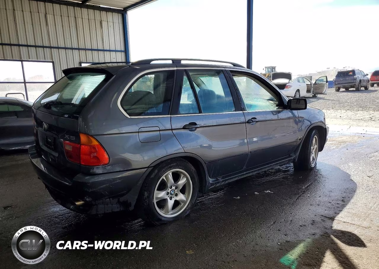 2003 BMW X5 4.4I VIN:5UXFB33573LH48780 - 3