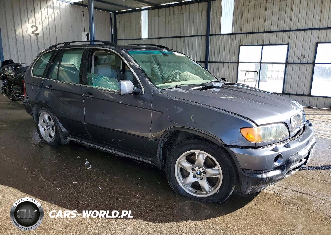 2003 BMW X5 4.4I VIN:5UXFB33573LH48780 - 4