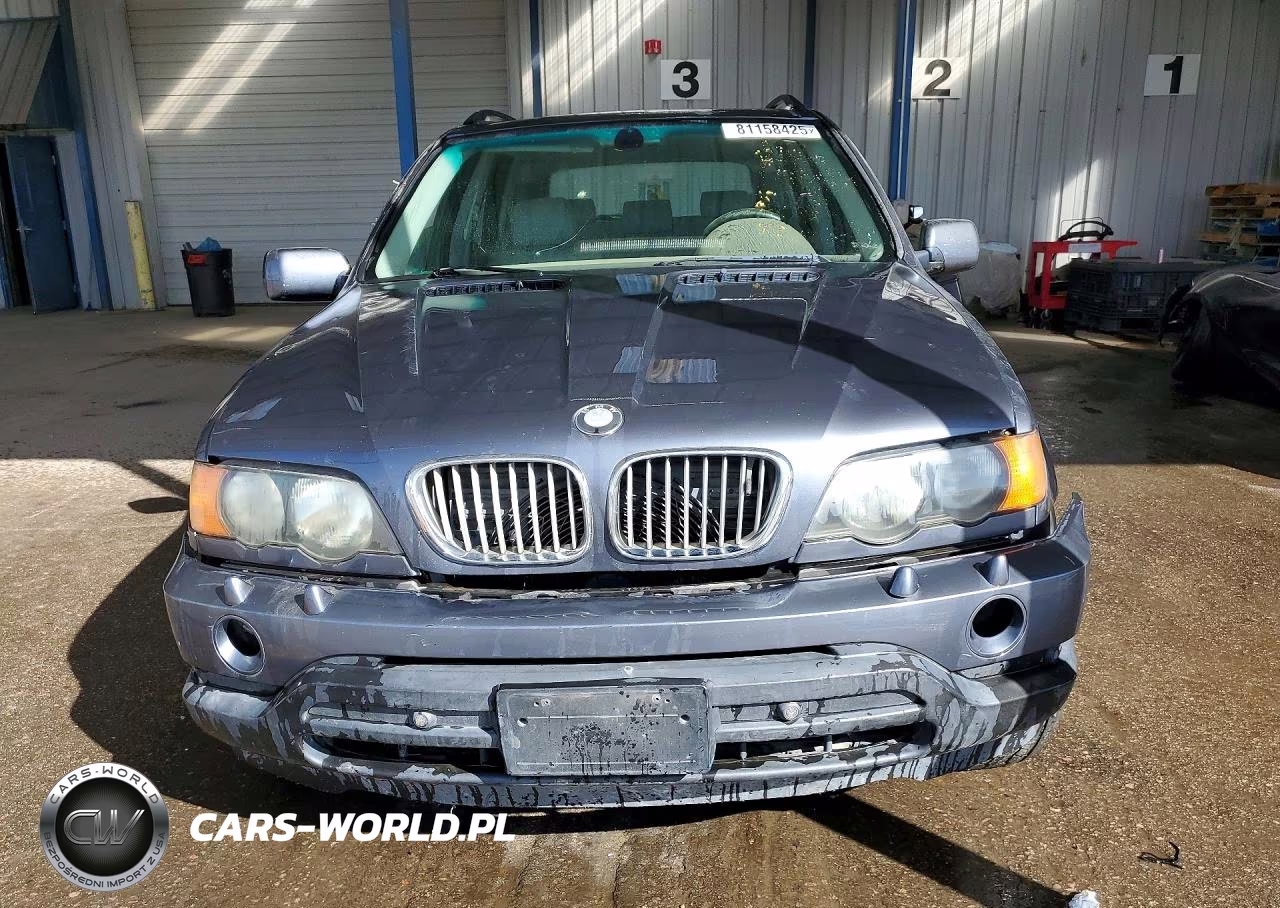 2003 BMW X5 4.4I VIN:5UXFB33573LH48780 - 5