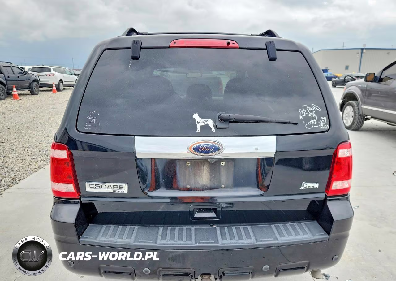 2010 Ford Escape Limited VIN:1FMCU0EGXAKC49074 - 6