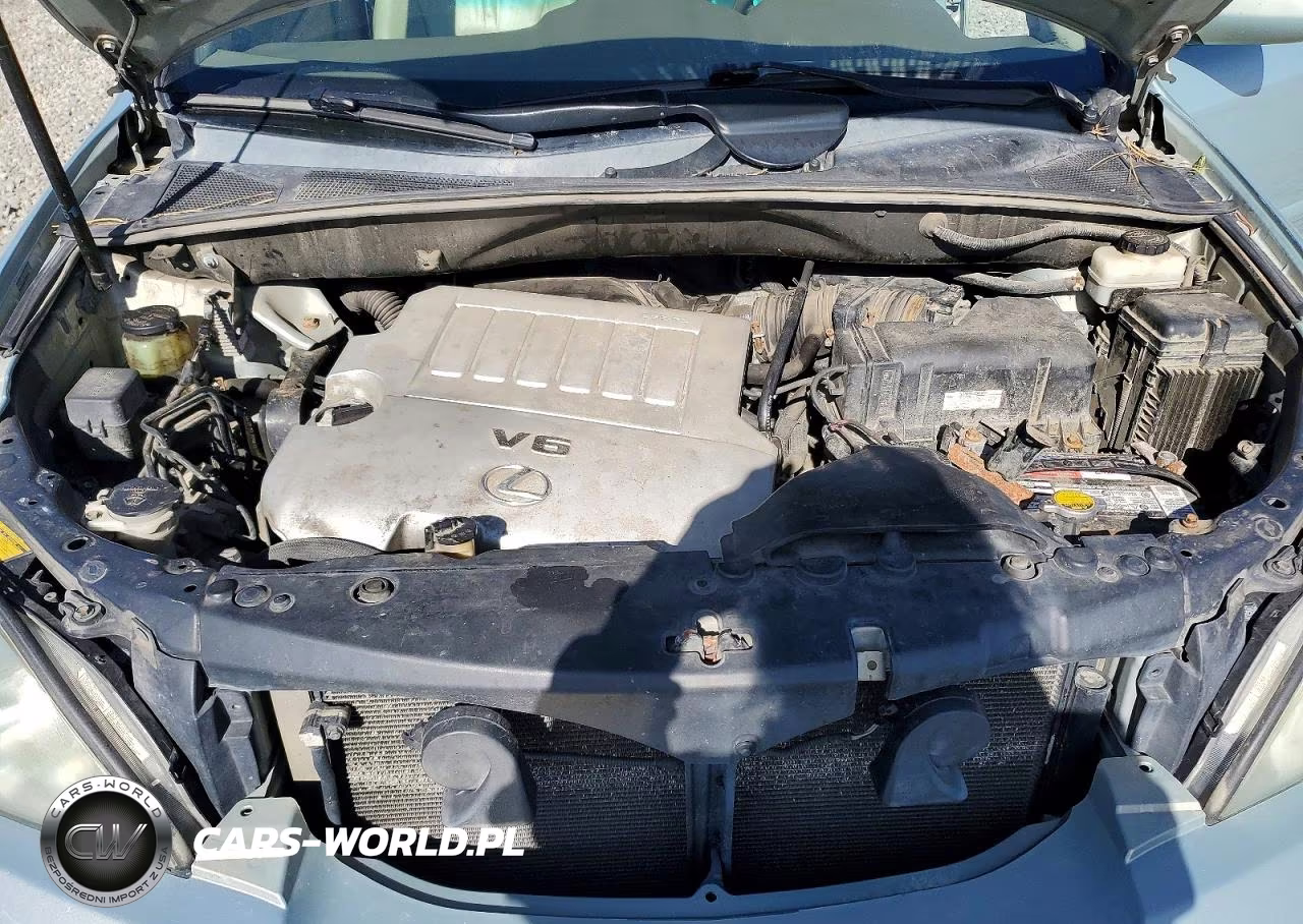 2007 Lexus Rx 350 VIN:2T2HK31U87C022243 - 12