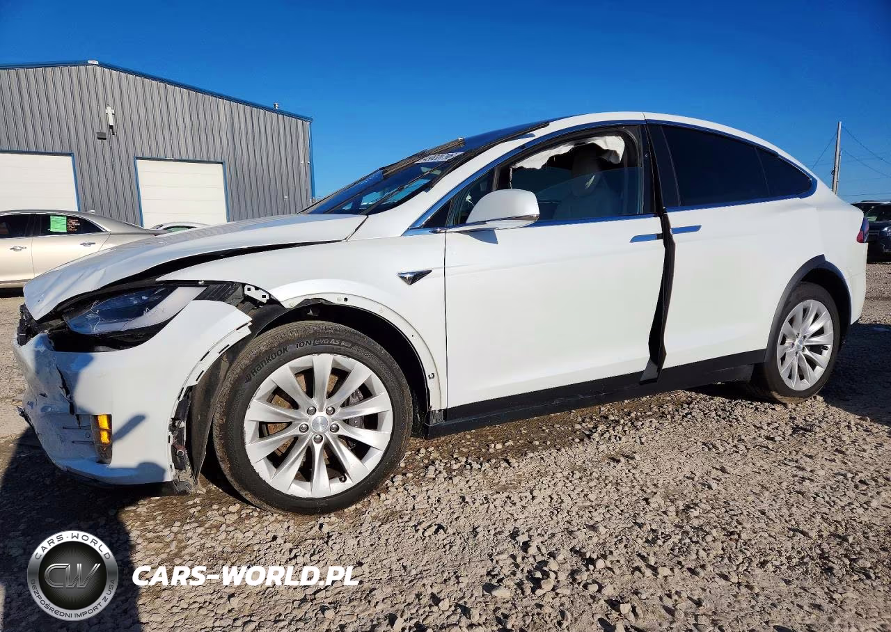 2019 Tesla Model X