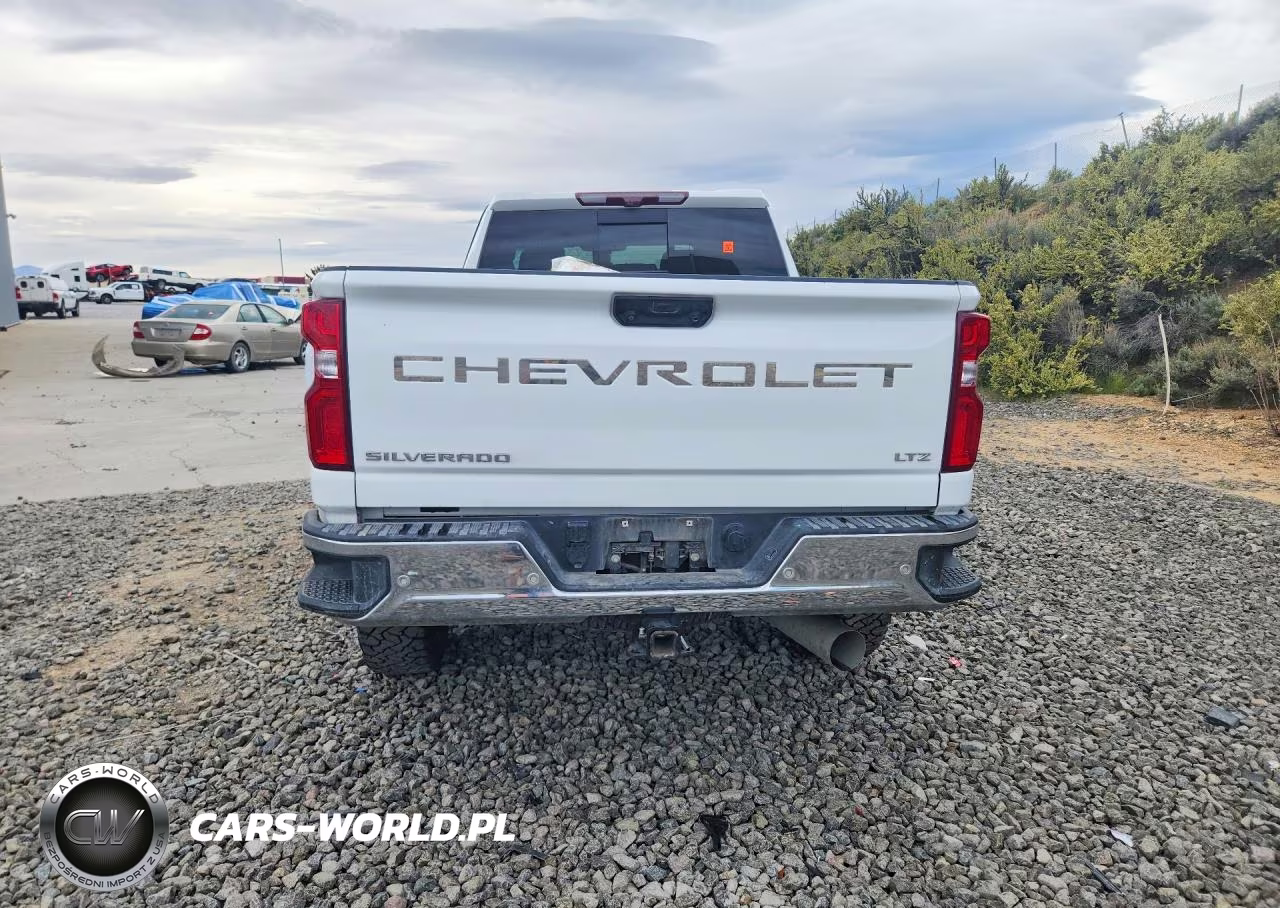 2020 Chevrolet Silverado K2500 Heavy Duty Ltz VIN:1GC4YPEY6LF336609 - 6