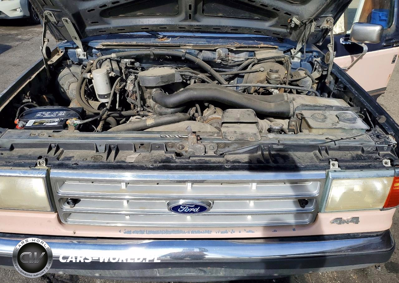 1988 Ford Bronco U100 VIN:1FMEU15N3JLA36071 - 11