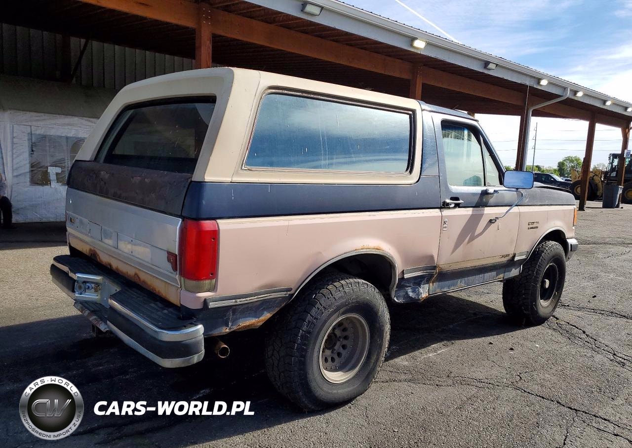 1988 Ford Bronco U100 VIN:1FMEU15N3JLA36071 - 3