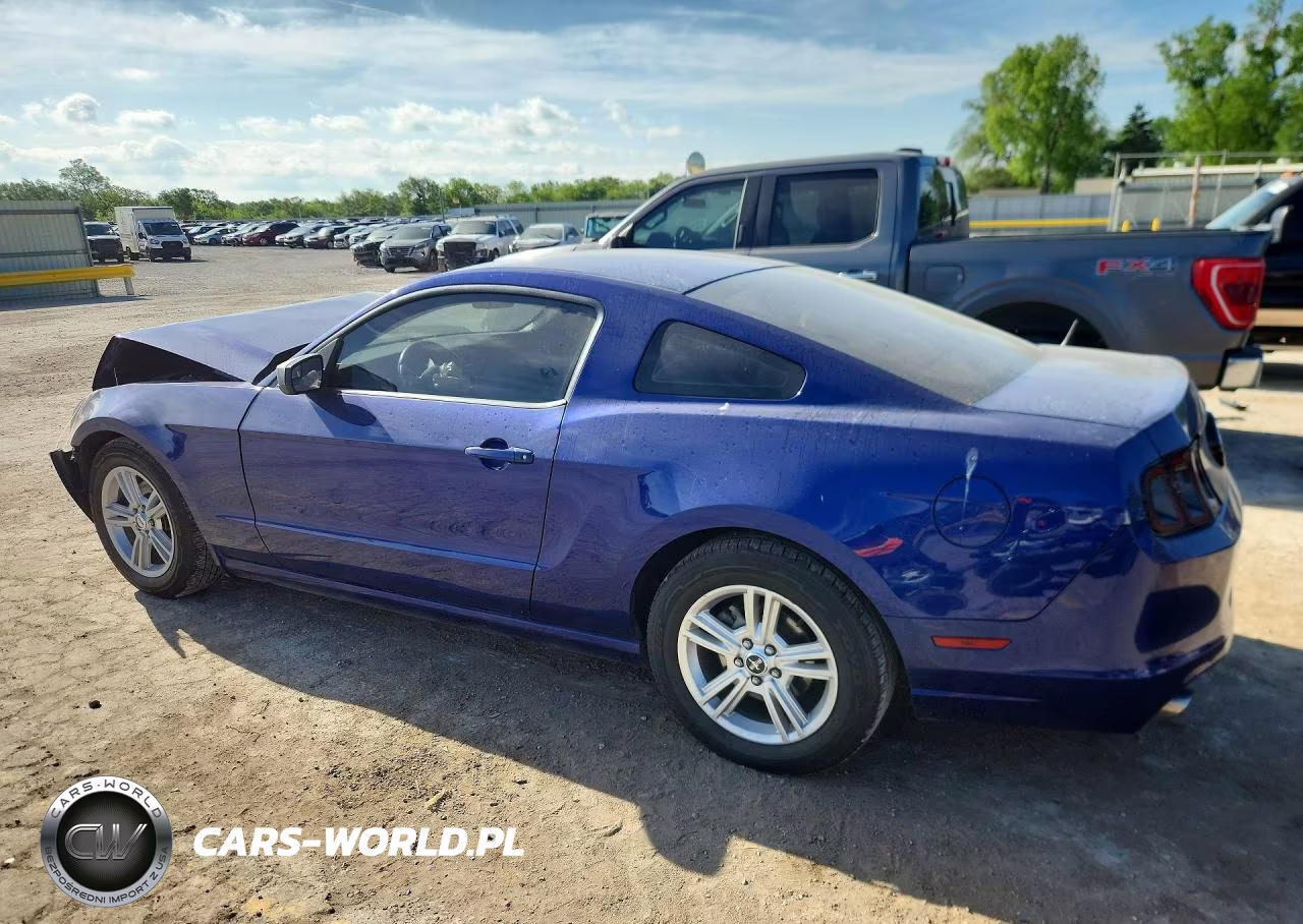 2014 Ford Mustang VIN:1ZVBP8AM6E5229228 - 2