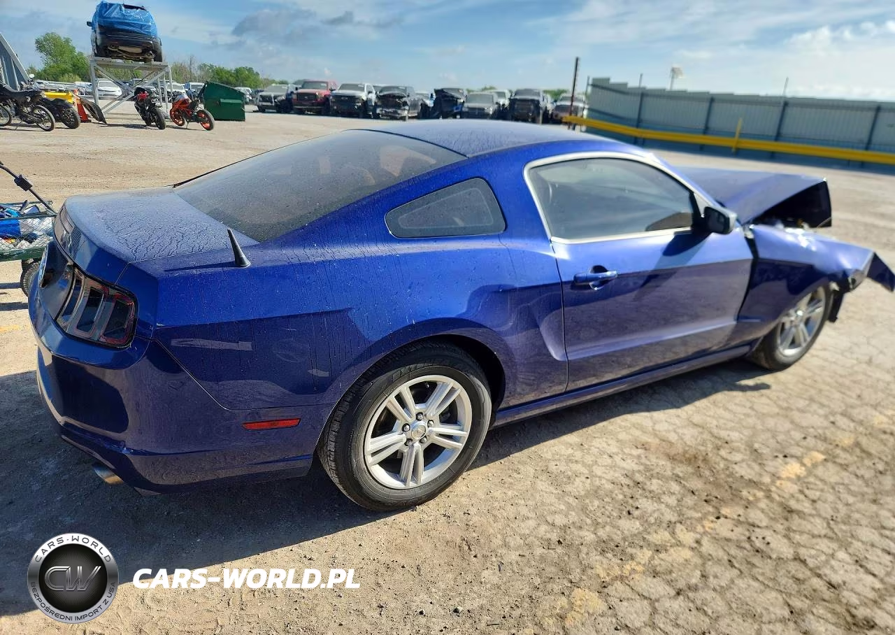 2014 Ford Mustang VIN:1ZVBP8AM6E5229228 - 3
