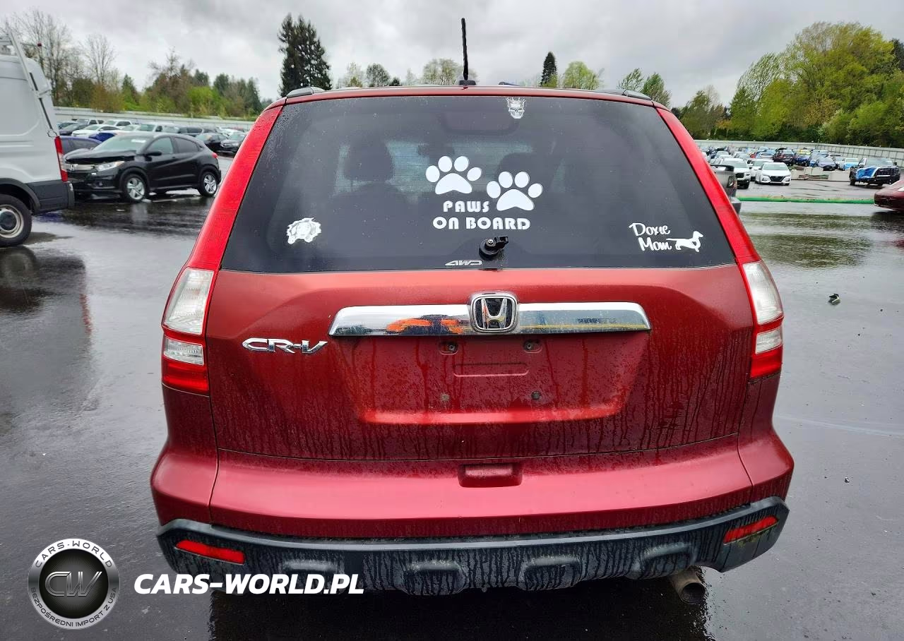 2008 Honda Cr-V Exl VIN:JHLRE48778C042809 - 6