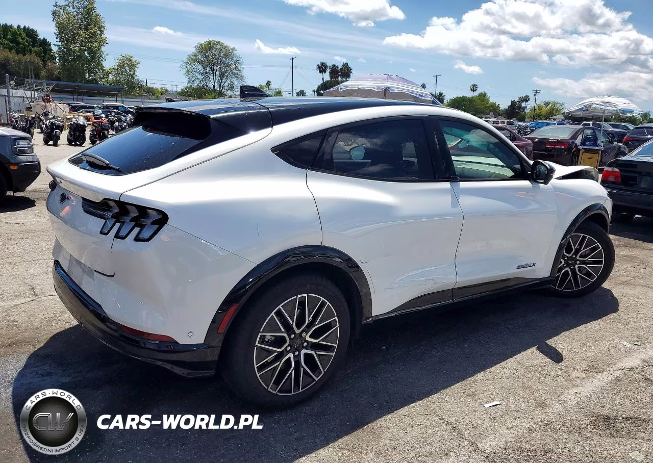 2024 Ford Mustang Mach-E Premium VIN:3FMTK3R70RMA22238 - 3