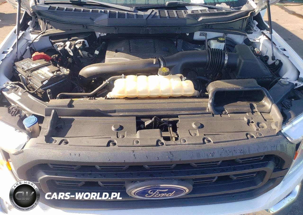 2021 Ford F150 Supercrew VIN:1FTFW1E89MFC92442 - 11
