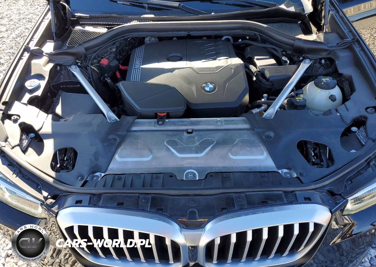 2023 BMW X3 Sdrive30I VIN:WBX47DP01PN191258 - 11