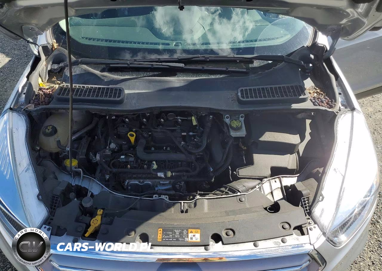 2019 Ford Escape Se VIN:1FMCU0GD9KUC54811 - 11