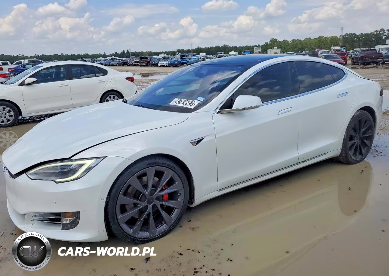 2019 Tesla Model S