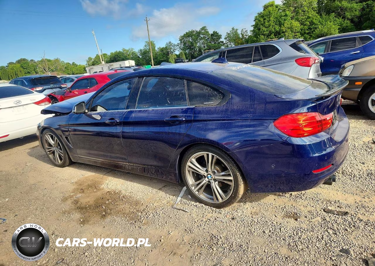 2016 BMW 428 I Gran Coupe Sulev VIN:WBA4A9C58GG695241 - 2