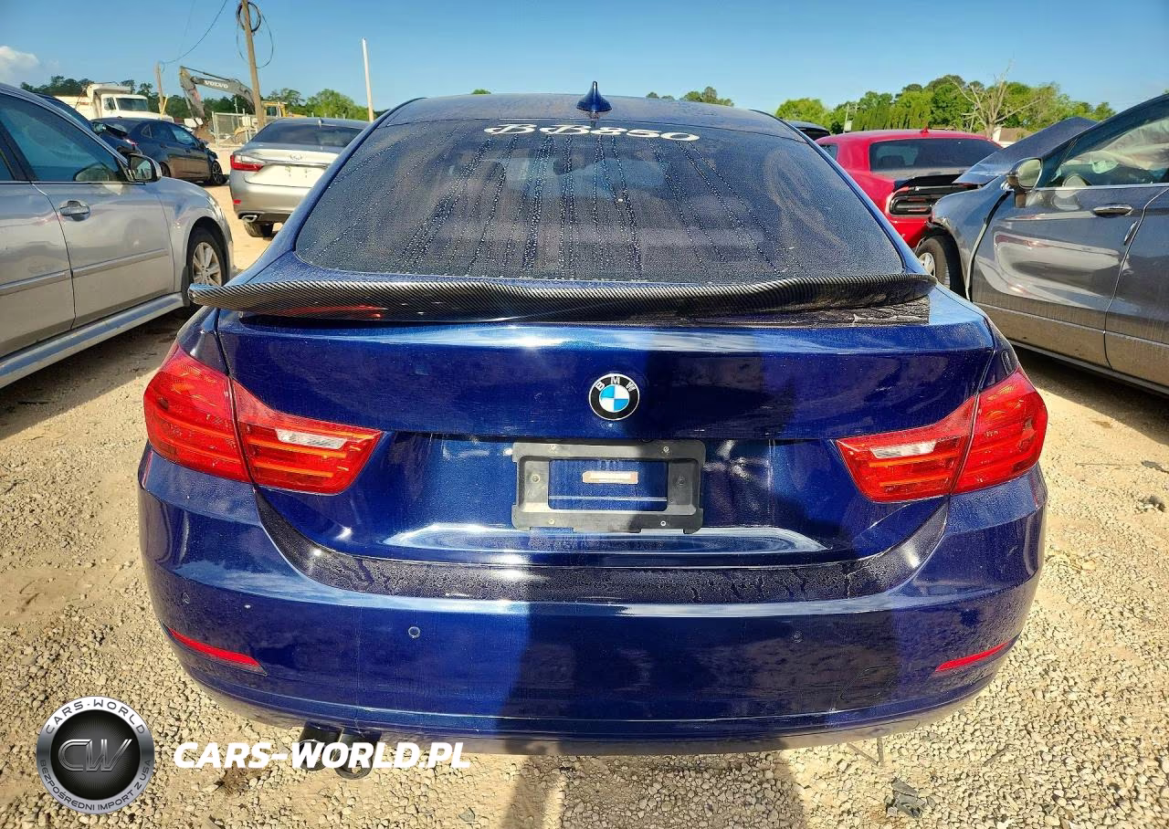 2016 BMW 428 I Gran Coupe Sulev VIN:WBA4A9C58GG695241 - 6