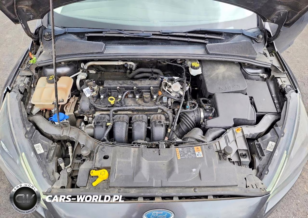 2018 Ford Focus Sel VIN:1FADP3M23JL261946 - 11