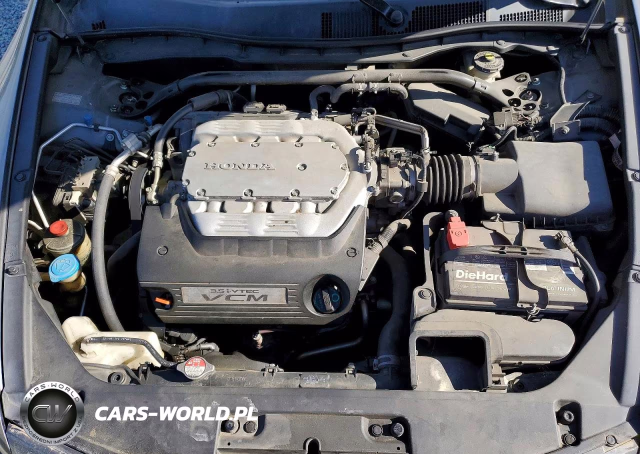2010 Honda Accord Exl VIN:1HGCS2B84AA007682 - 11