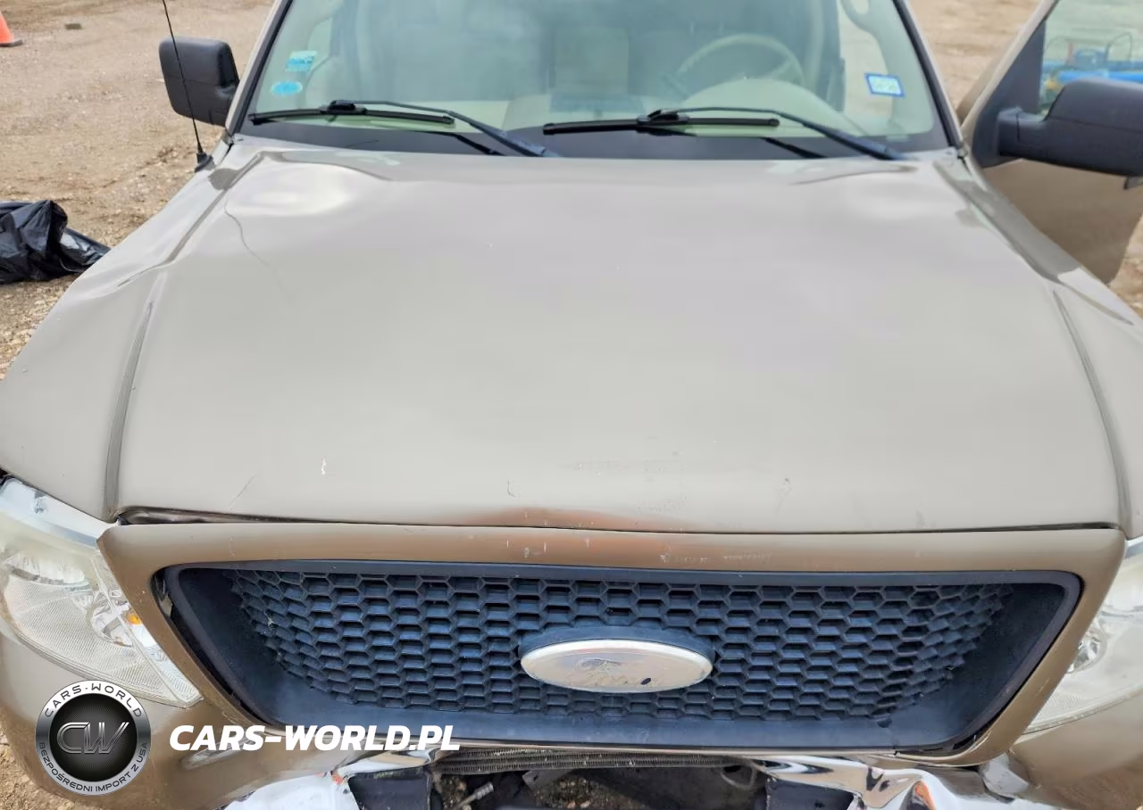 2006 Ford F150 Supercrew VIN:1FTRW12W96FA95791 - 11