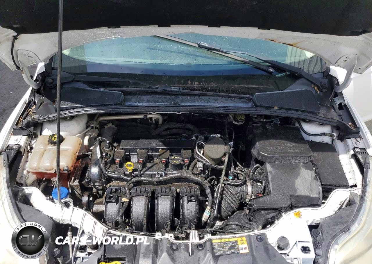 2014 Ford Focus Se VIN:1FADP3F2XEL167811 - 11