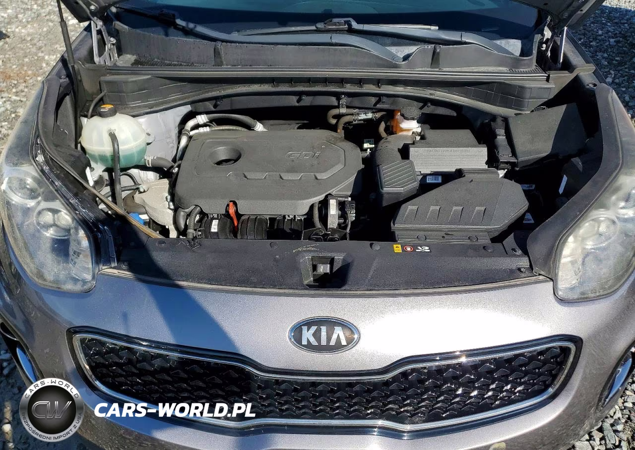 2017 Kia Sportage Lx VIN:KNDPMCAC8H7271310 - 12
