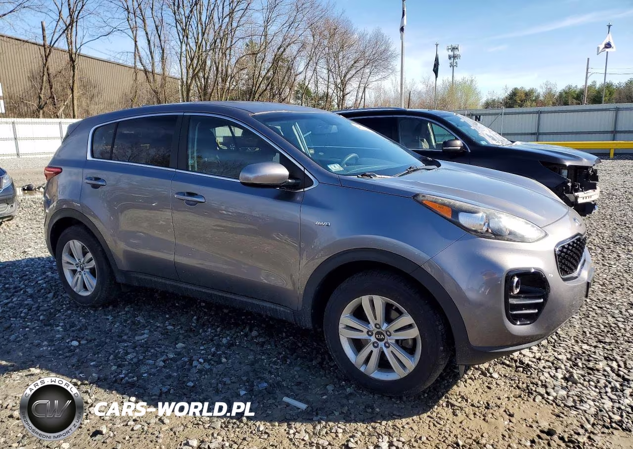 2017 Kia Sportage Lx VIN:KNDPMCAC8H7271310 - 4