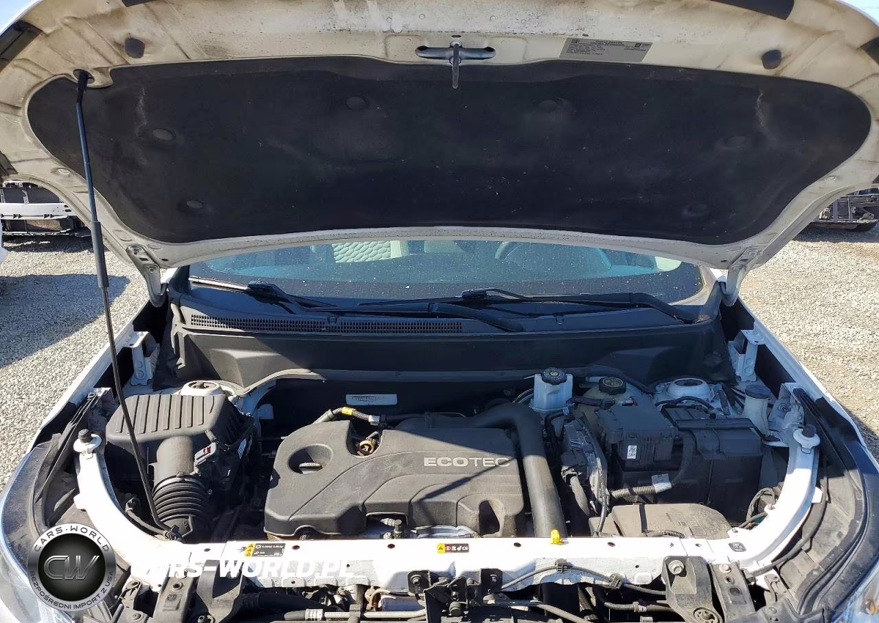 2019 Chevrolet Equinox Ls VIN:2GNAXHEV9K6270803 - 12