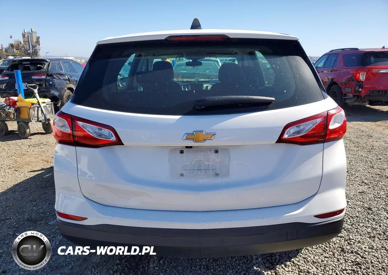2019 Chevrolet Equinox Ls VIN:2GNAXHEV9K6270803 - 6
