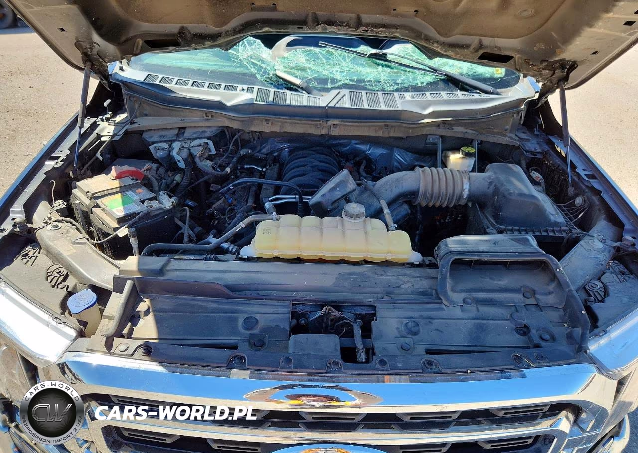 2021 Ford F150 Supercrew VIN:1FTEW1C50MFA70747 - 11