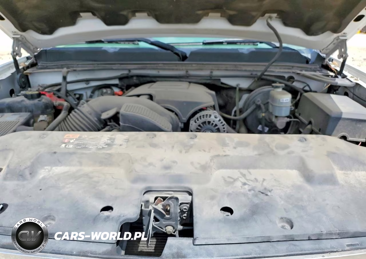 2013 Chevrolet Silverado C1500 Lt VIN:1GCRCSEA3DZ296838 - 11