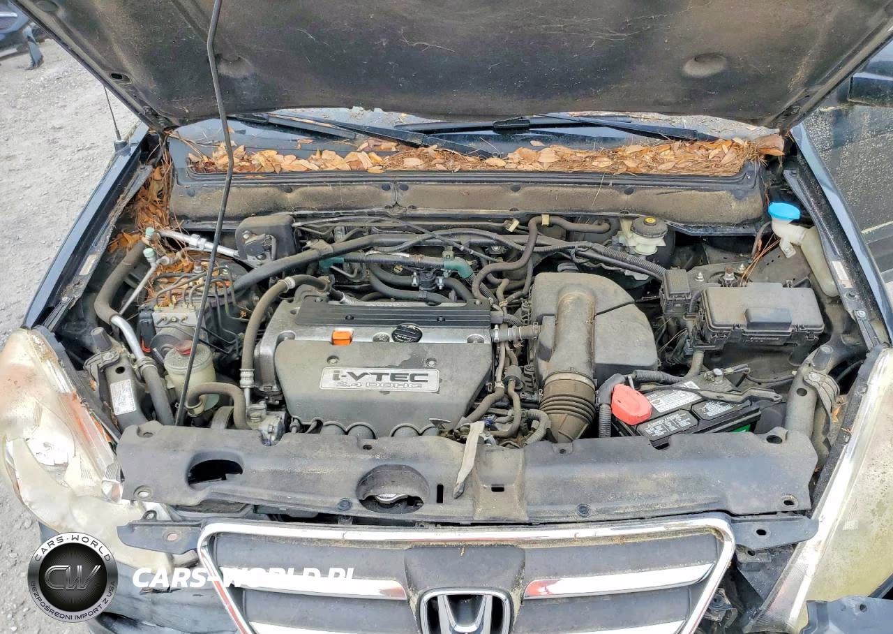 2006 Honda Cr-V Ex VIN:JHLRD68856C026547 - 12