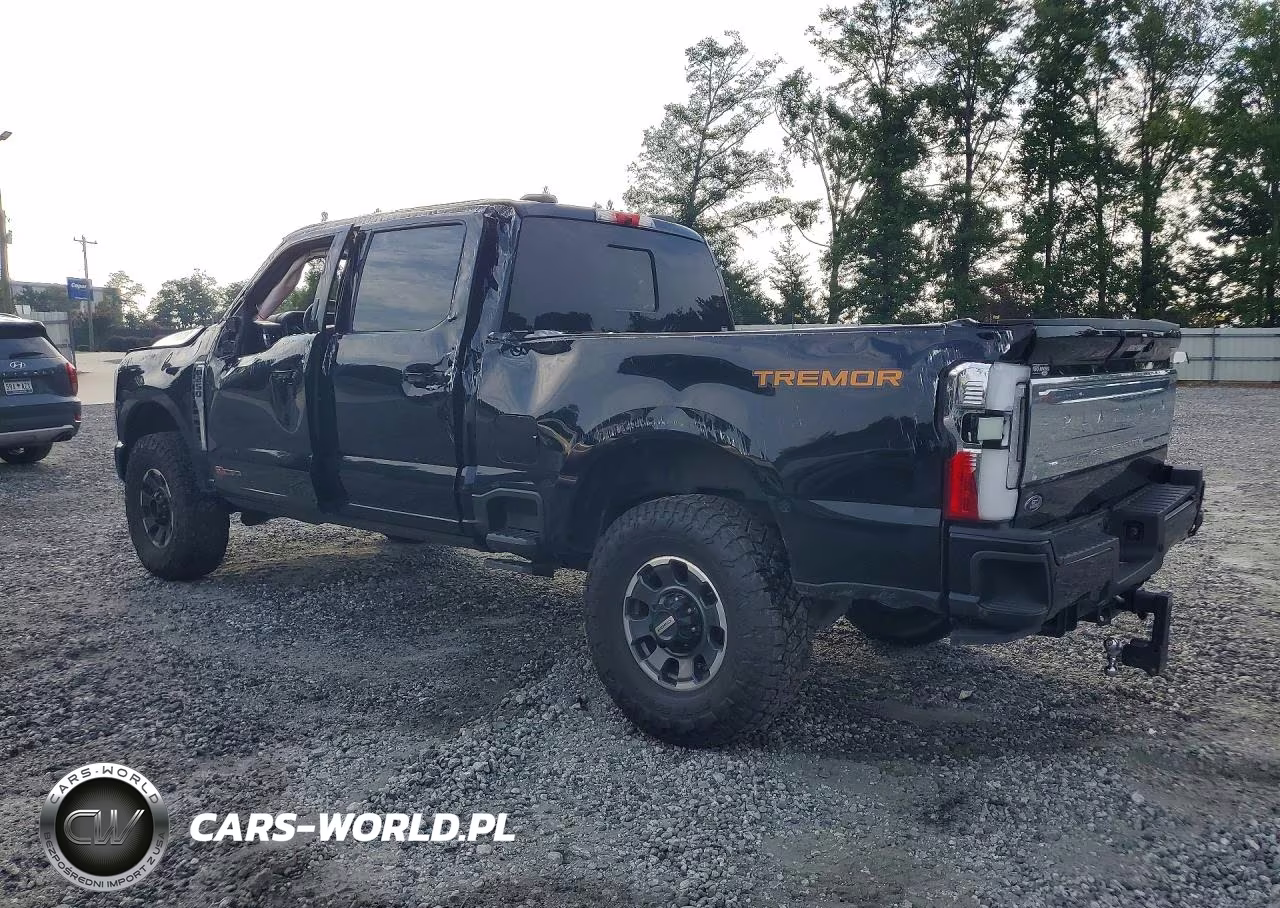 2024 Ford F250 Super Duty VIN:1FT8W2BM0REC67099 - 2