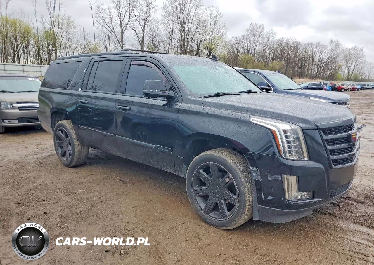 2019 Cadillac Escalade Esv Luxury VIN:1GYS4HKJ4KR158688 - 4